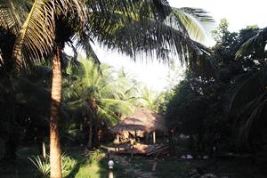 CoCo's Bungalow Resort in Sihanoukville, Cambodia, on Koh Rong Island.